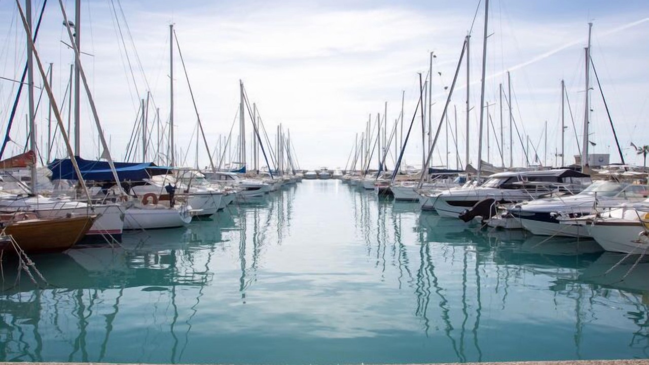 Photo of Others in Saint-Laurent-du-Var