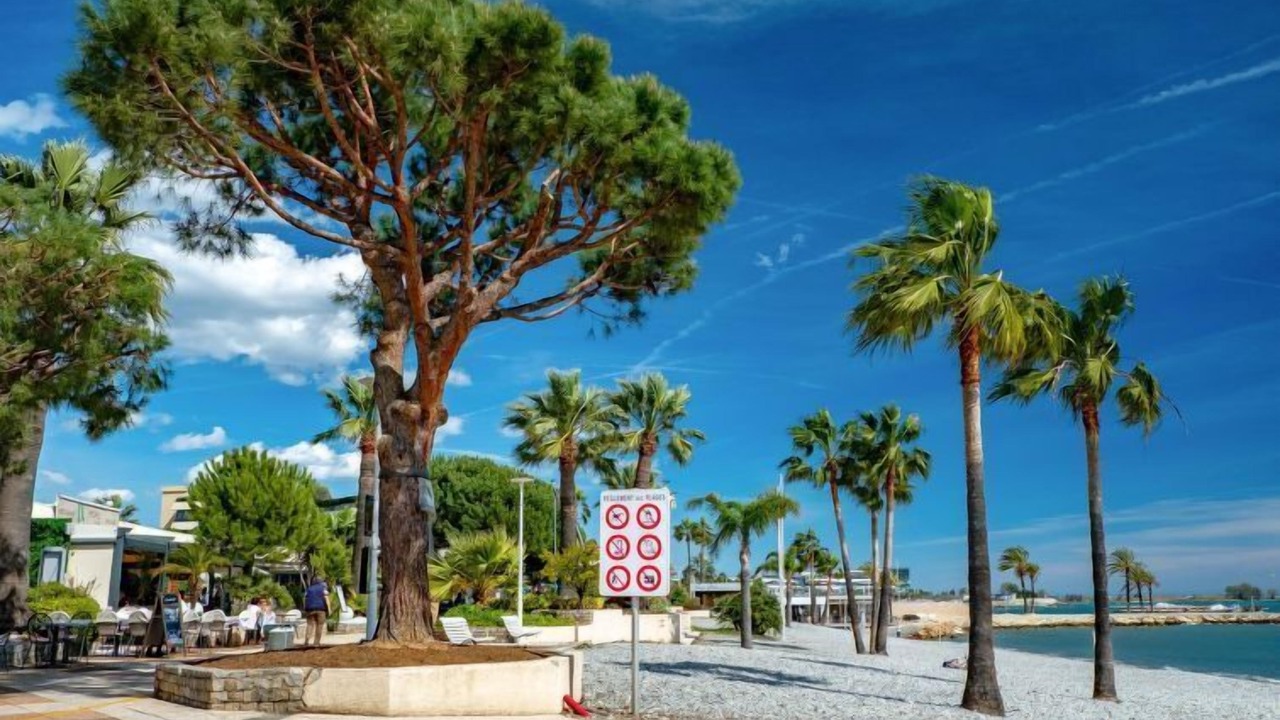 Photo of Others in Saint-Laurent-du-Var