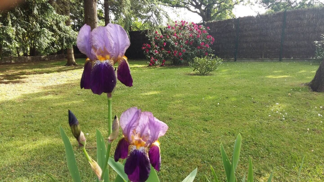 Photo of Outdoor in Guerande