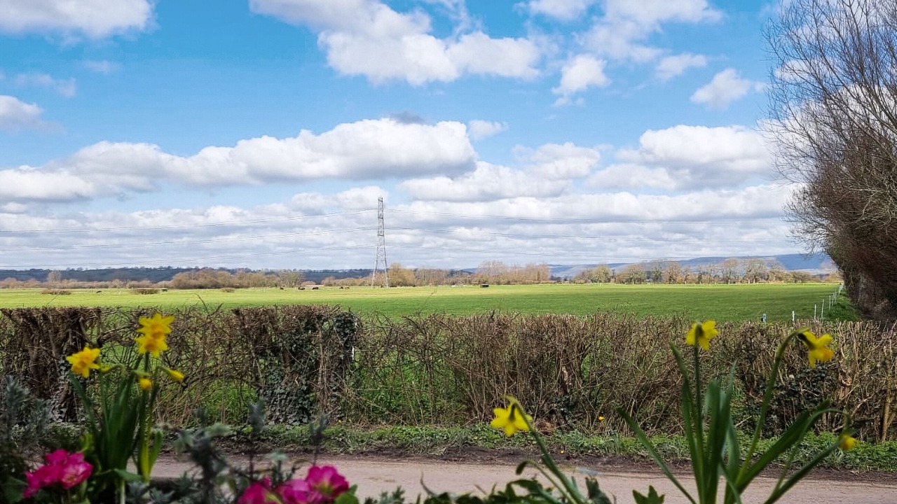 Photo of Others in Lower Godney