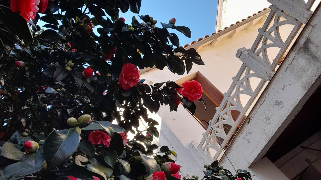 Photo of Outdoor in Villerest