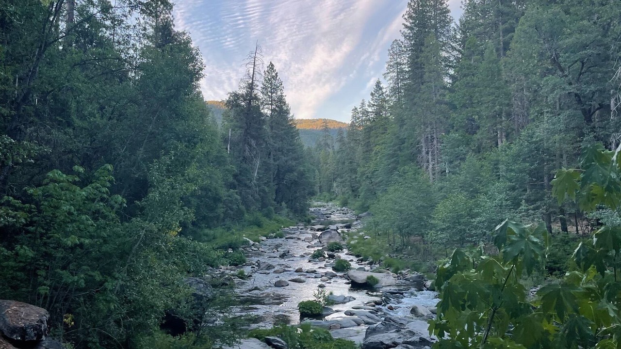 Photo of Others in Pollock Pines