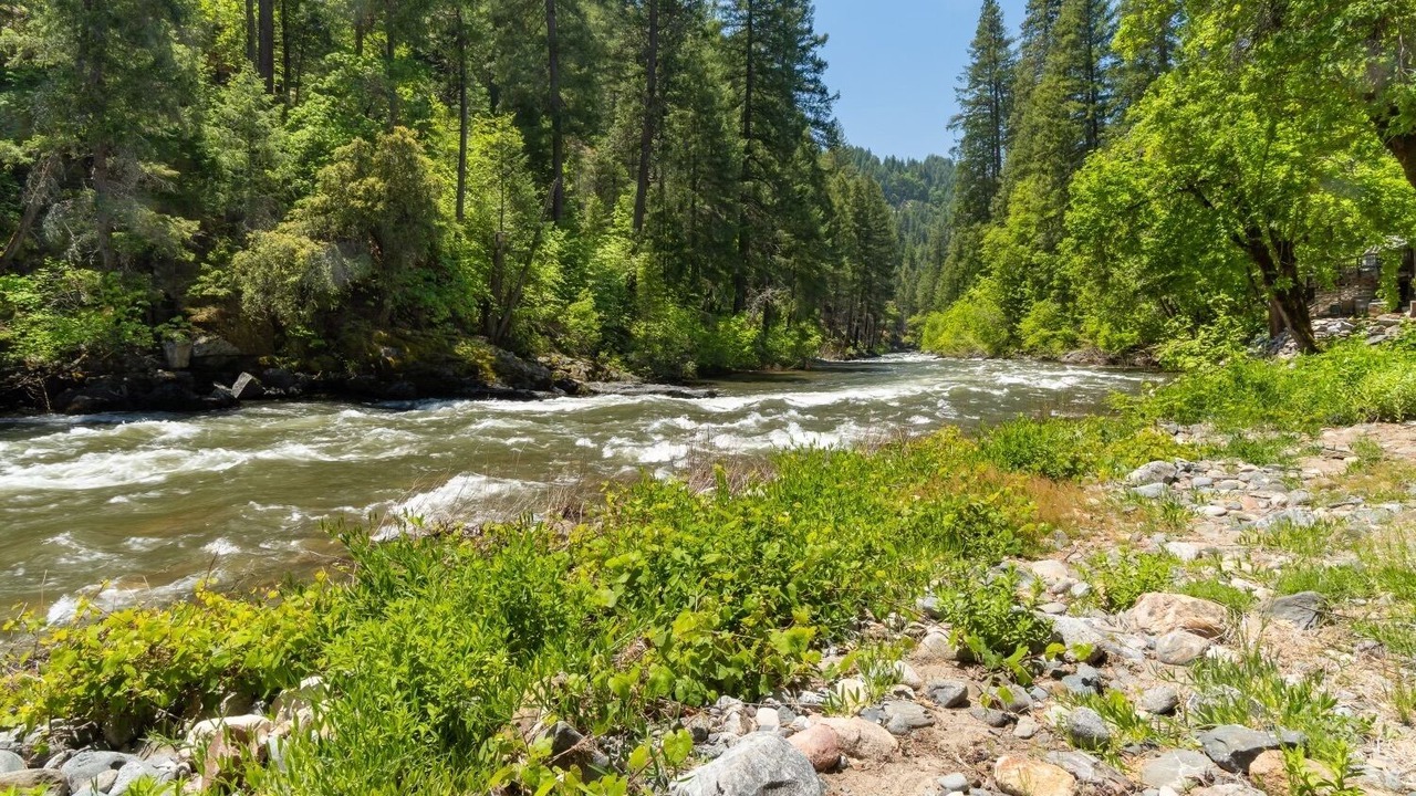 Photo of Outdoor in Pollock Pines
