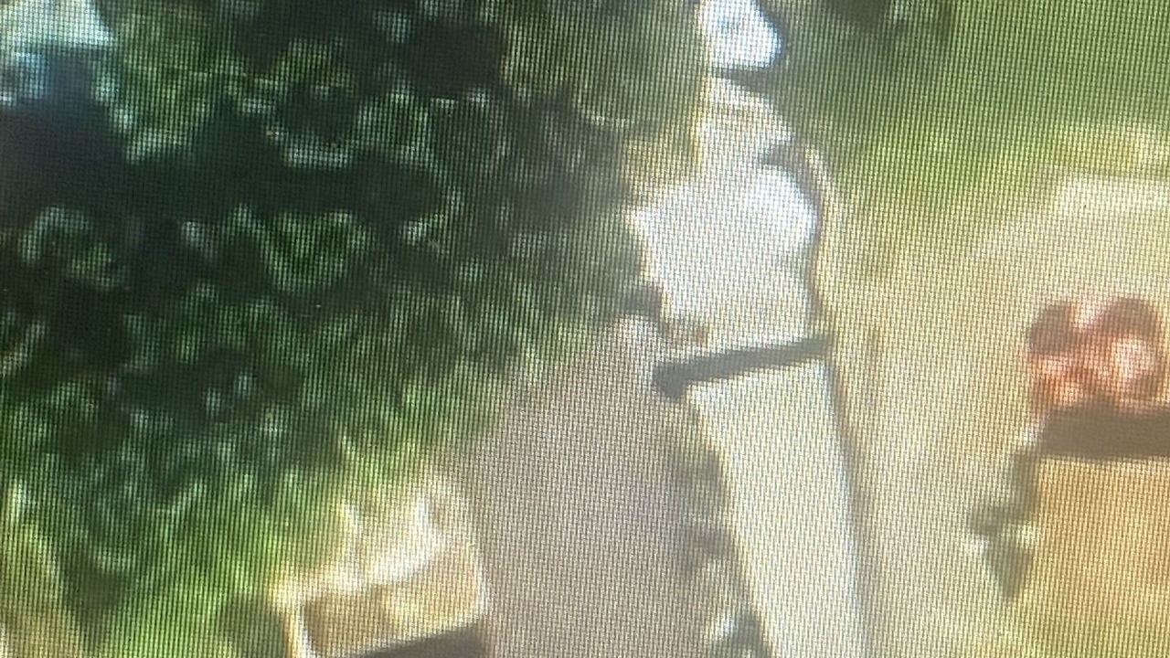 Photo of Others in Rosston