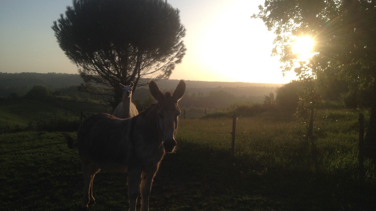 Photo of Outdoor in Aubin