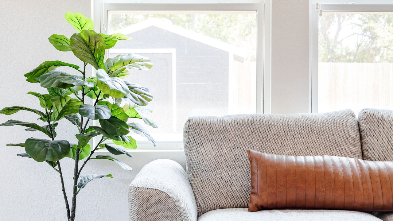 Photo of Livingroom in Georgetown