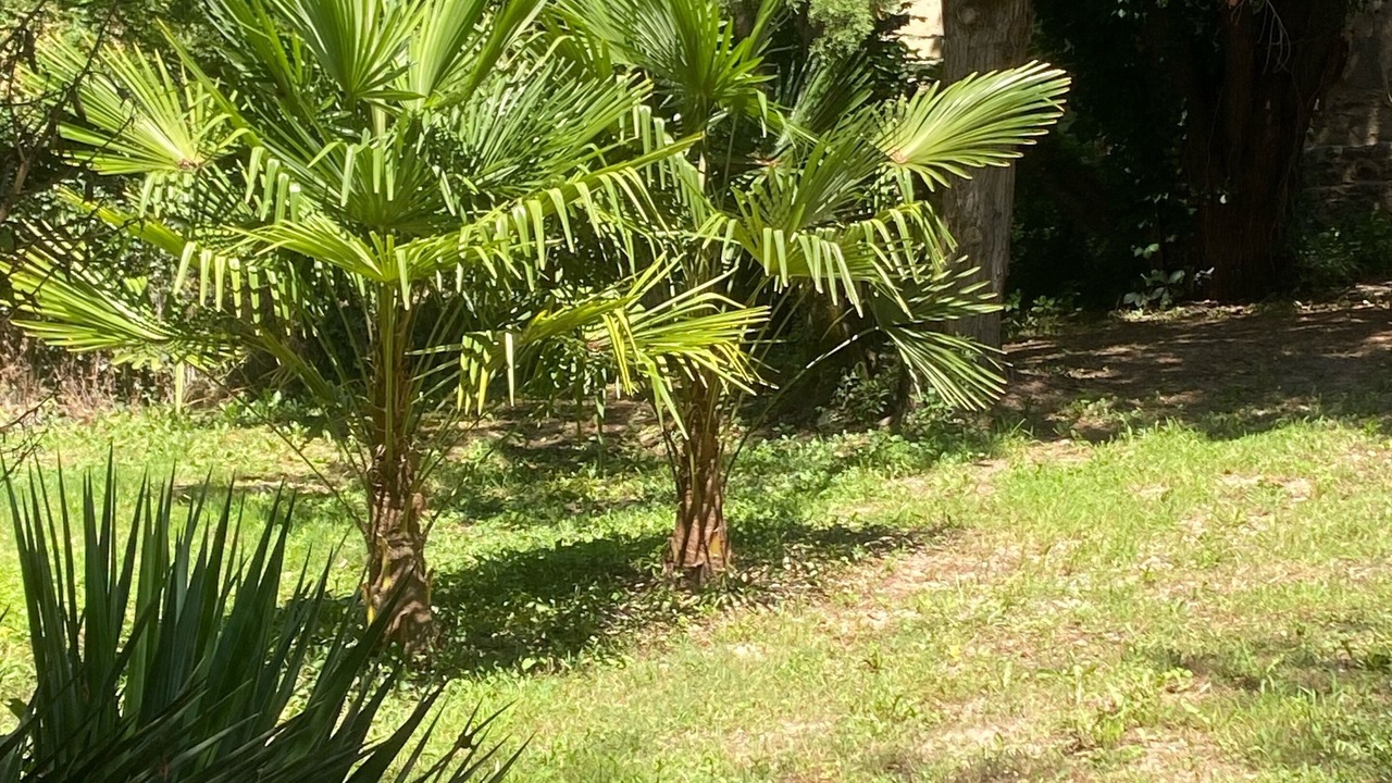 Photo of Outdoor in Mongauzy