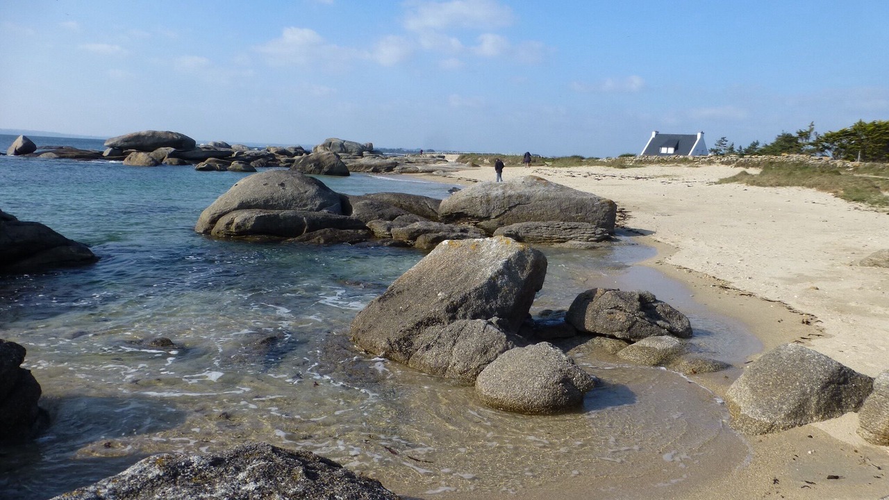 Photo of Others in Tourch