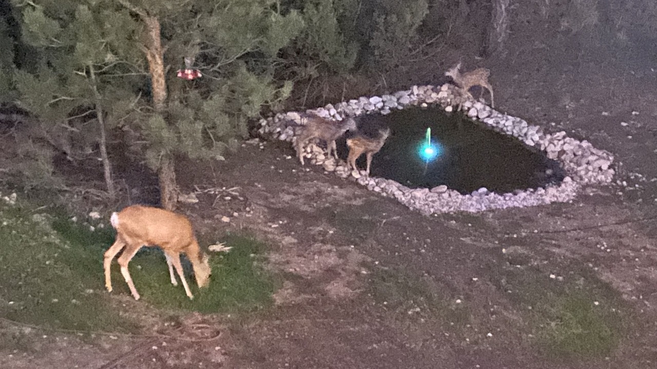 Photo of Outdoor in Glendo