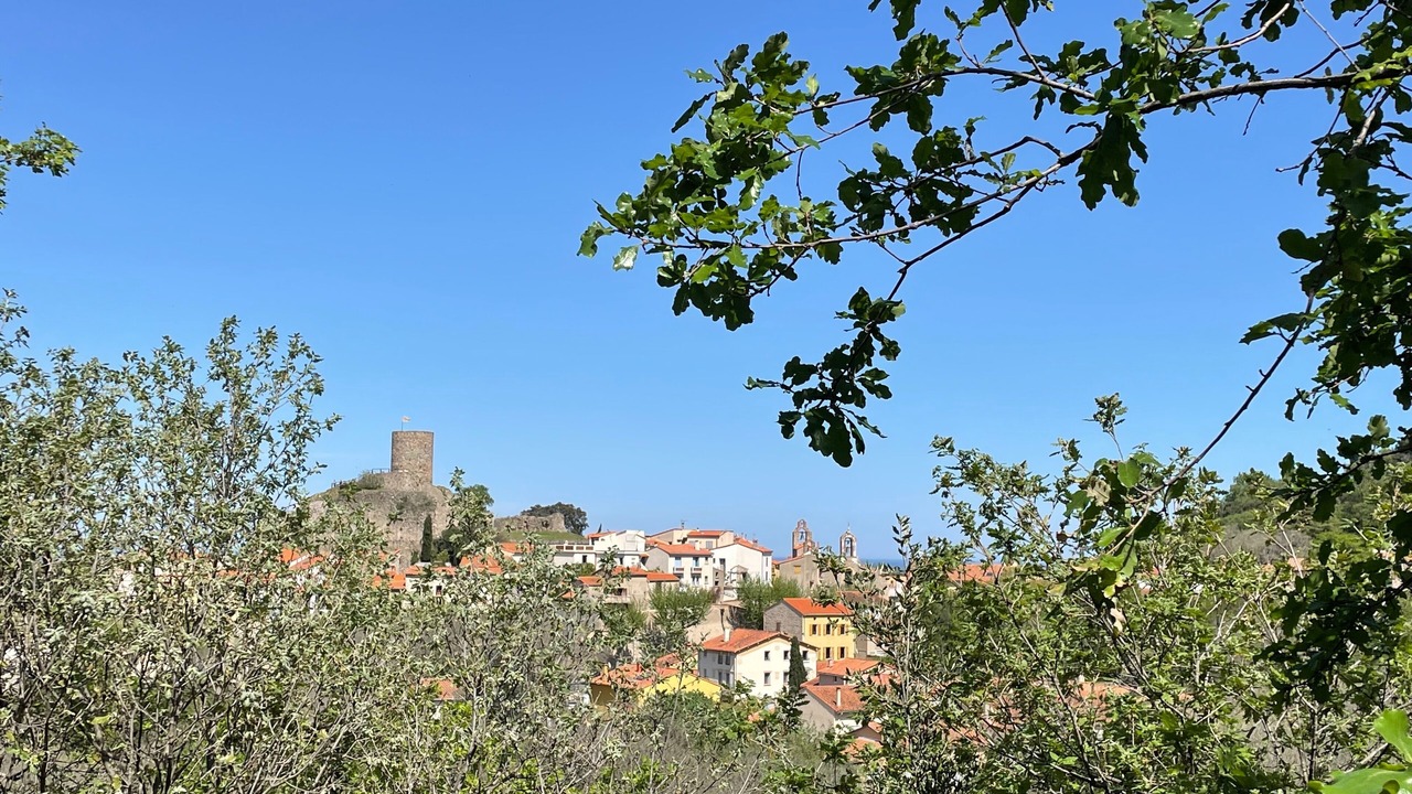 Photo of Outdoor in Laroque-des-Alberes