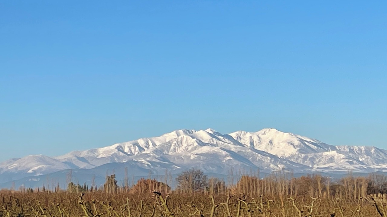 Photo of Others in Laroque-des-Alberes