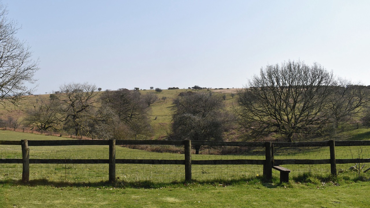 Photo of Others in Exmoor National Park