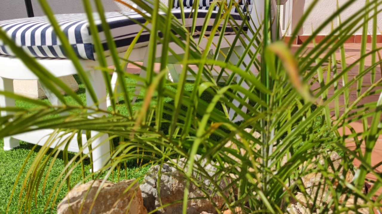 Photo of Patio Balcony in Jalon