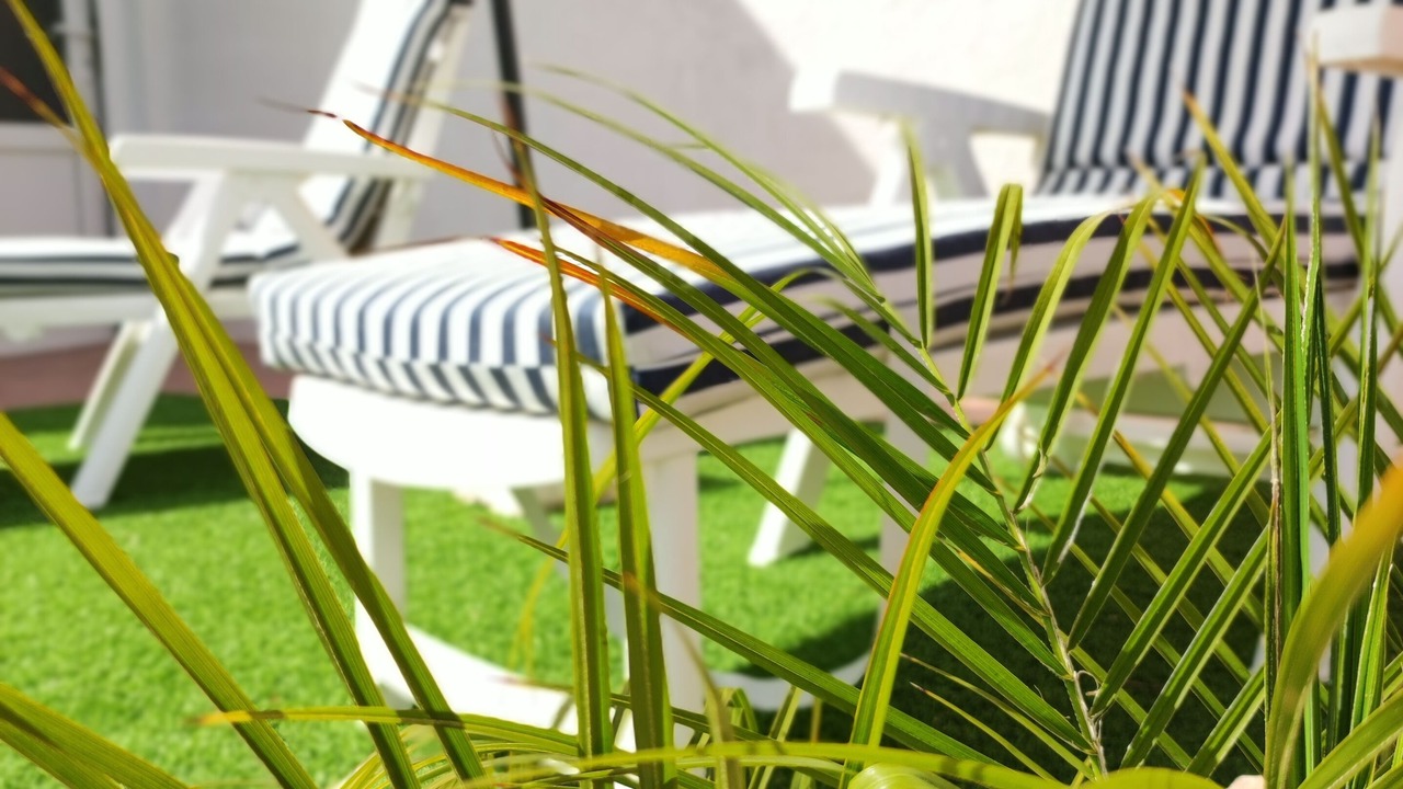 Photo of Patio Balcony in Jalon