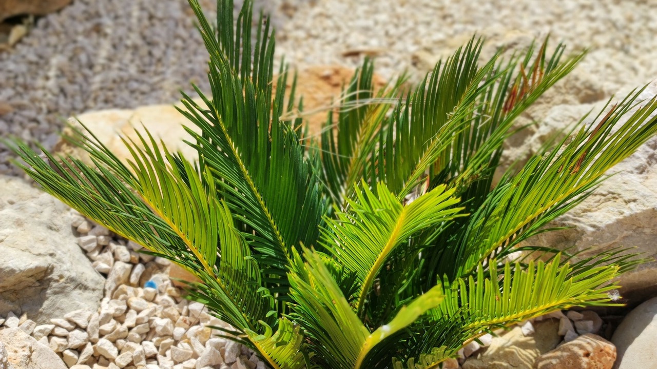 Photo of Outdoor in Jalon