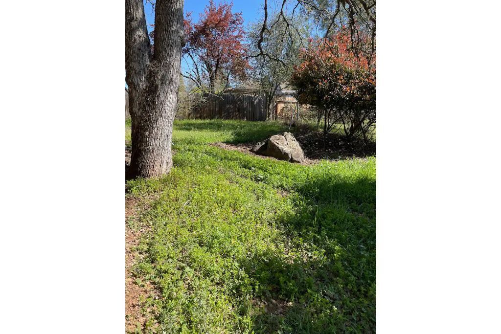 Photo of Outdoor in North Auburn
