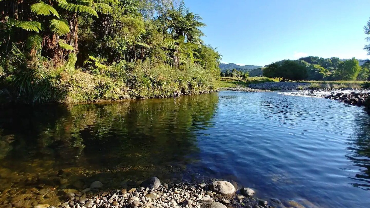 Photo of Others in Waihi