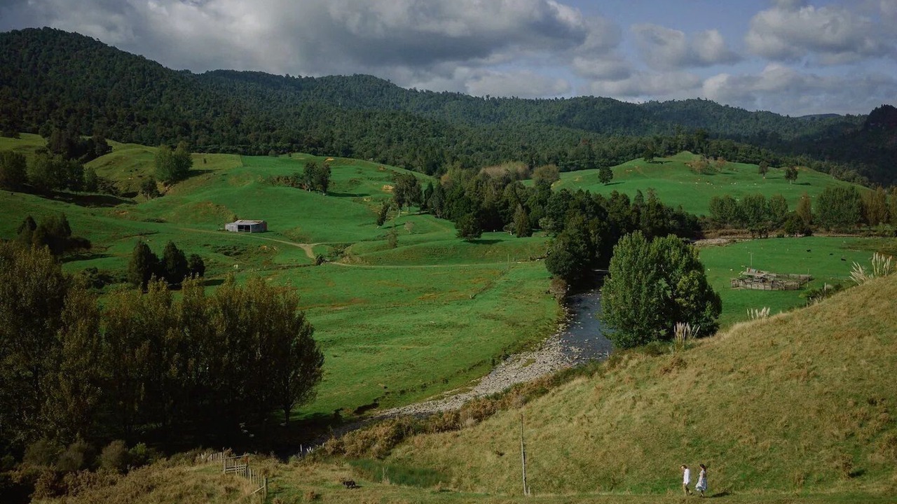 Photo of Others in Waihi