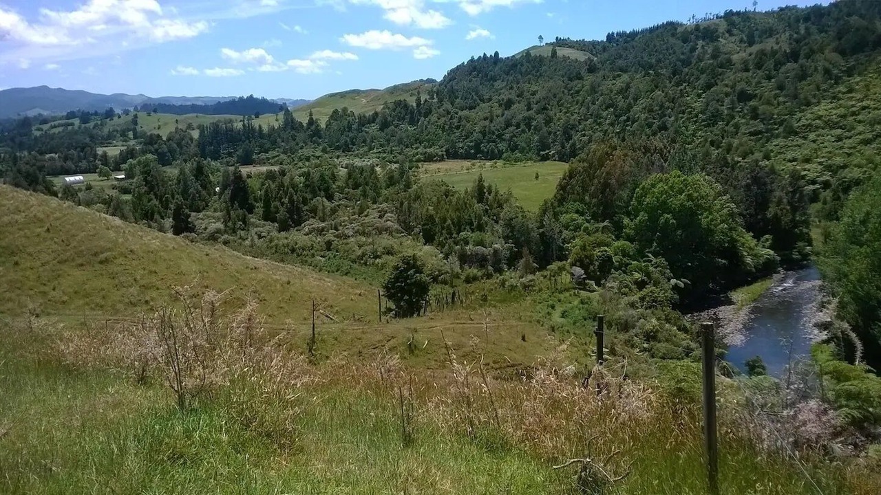 Photo of Others in Waihi