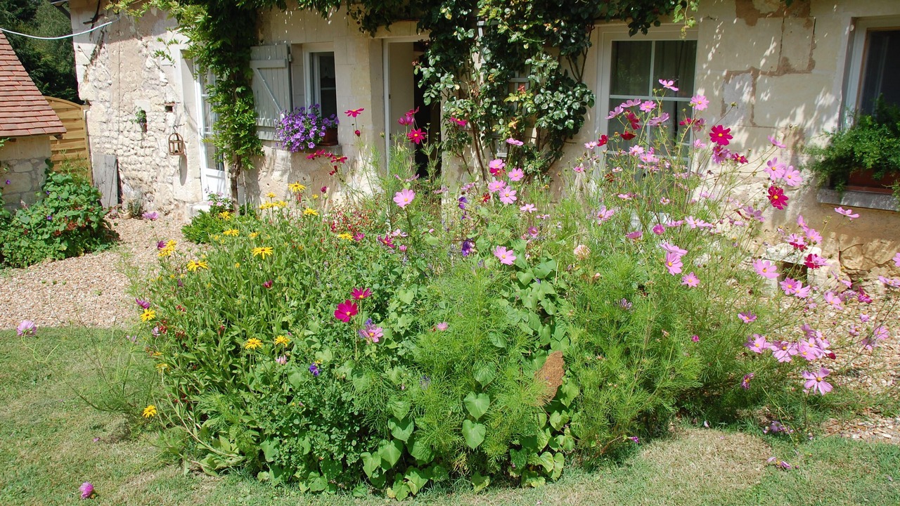 Photo of Outdoor in Bourgueil