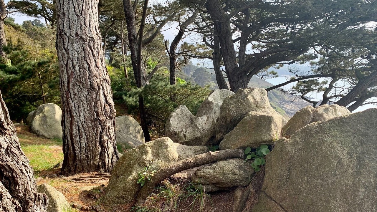Photo of Outdoor in Lannion