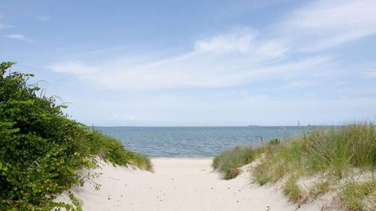 Photo of Others in Chic's Beach