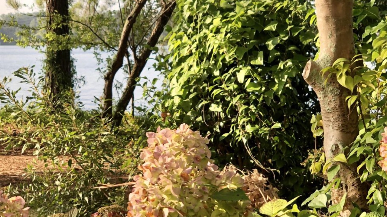 Photo of Outdoor in Ninety Six