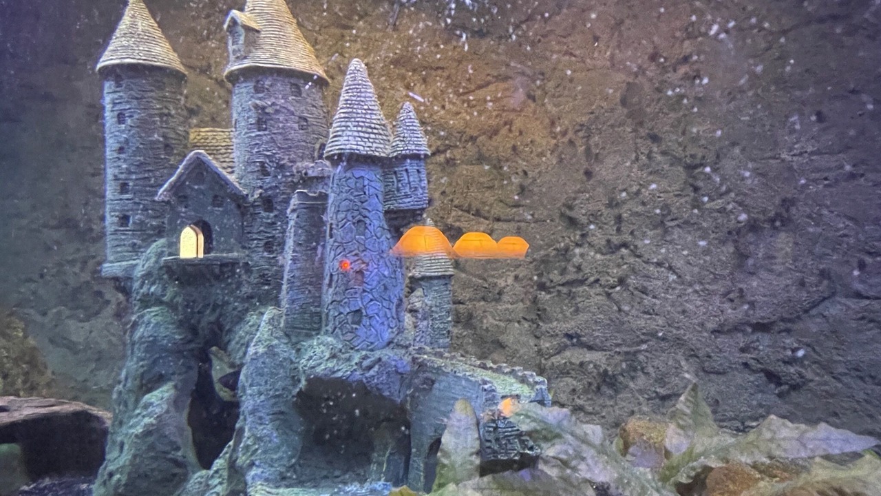 Photo of Others in Crawfordsville