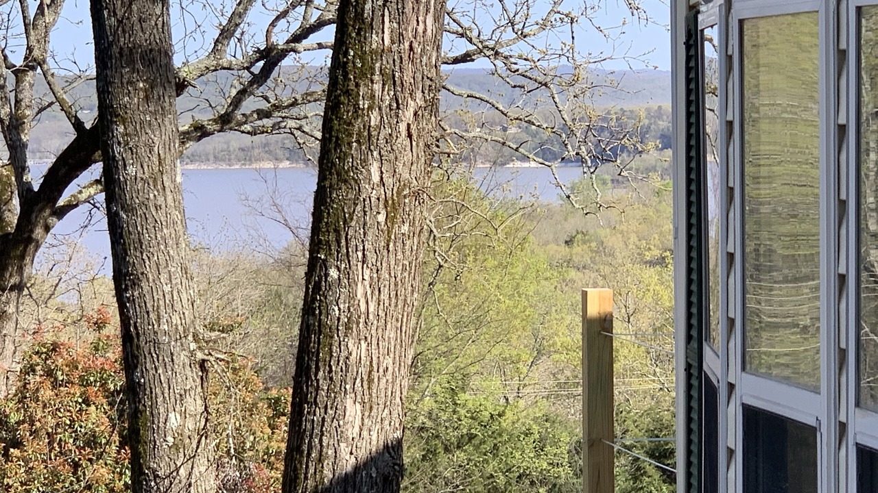 Photo of Others in Pettit
