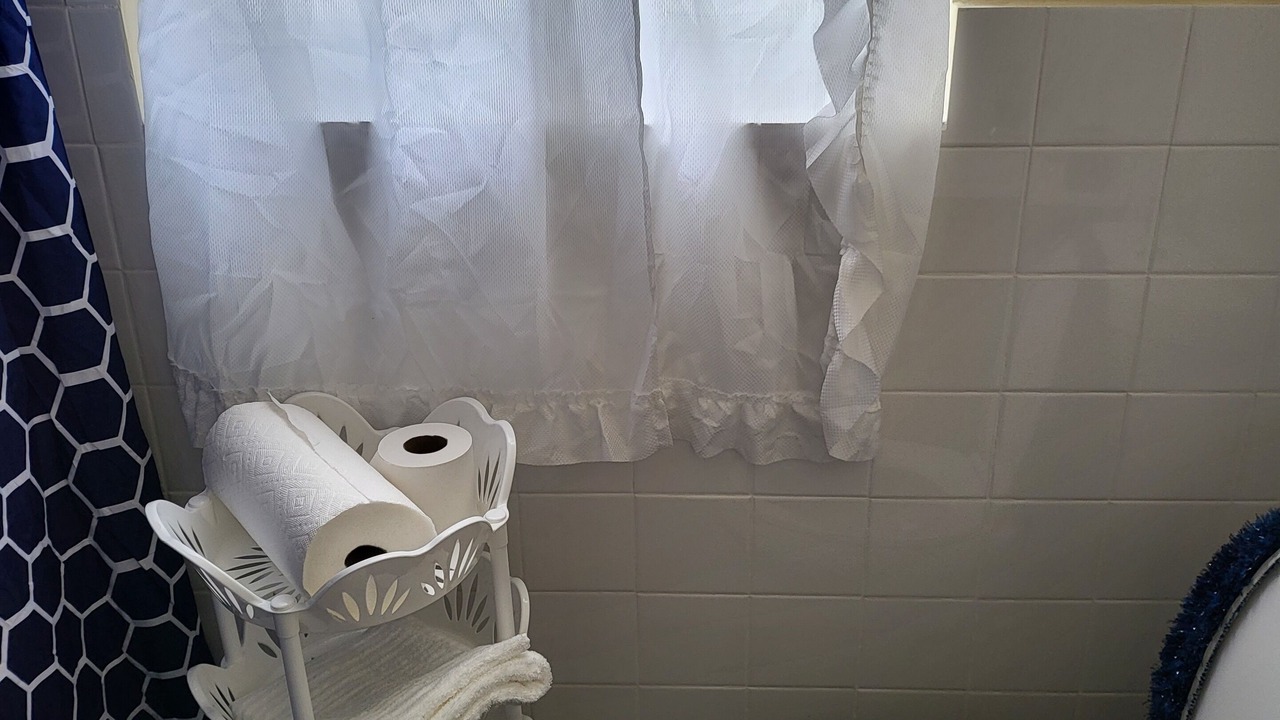 Photo of Bathroom in Williamsbridge