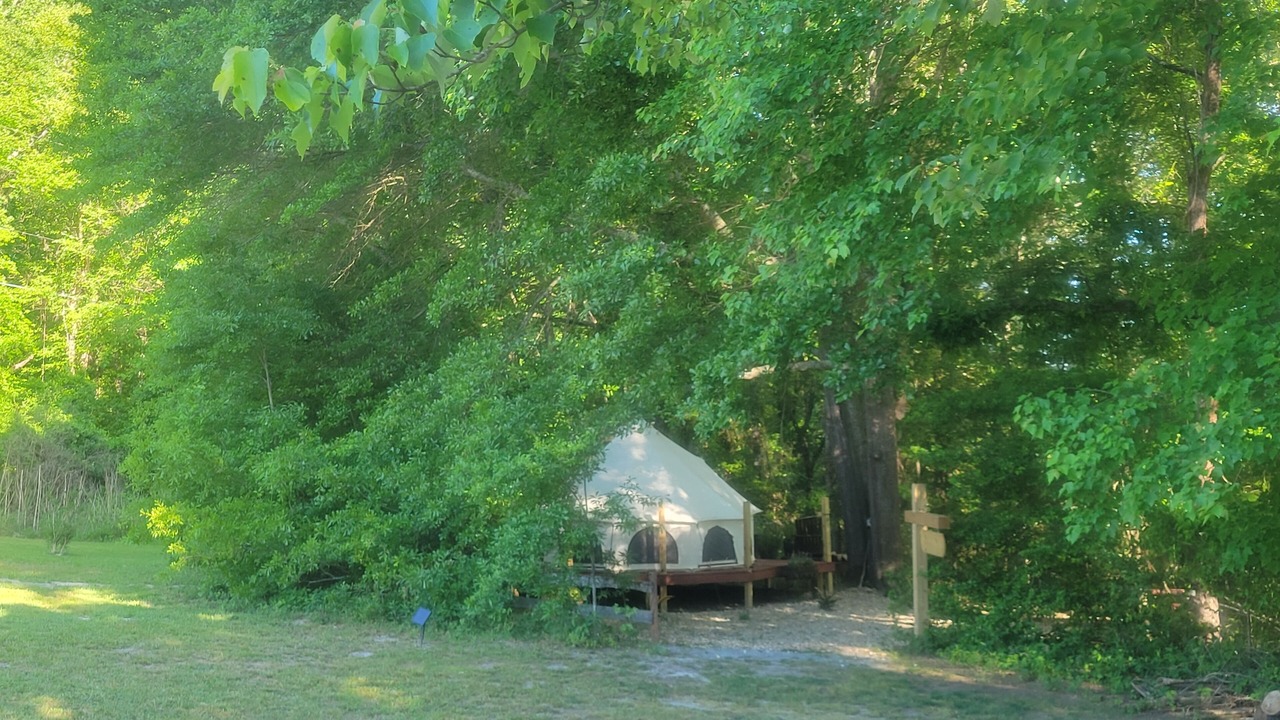 Photo of Outdoor in Piedmont