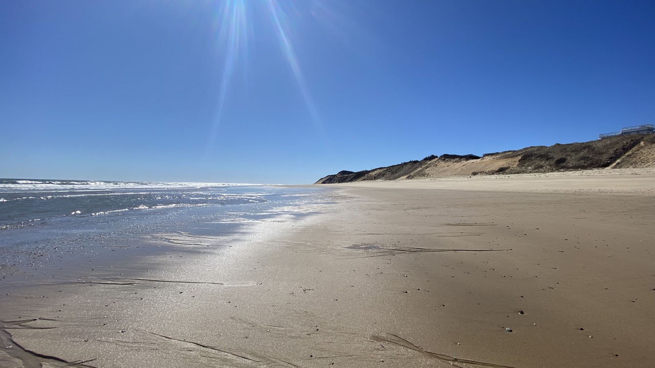 Photo of Others in North Truro