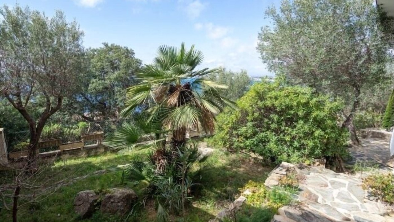 Photo of Outdoor in Almadraba-Canyelles