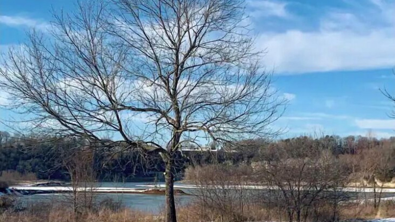 Photo of Others in Springdale