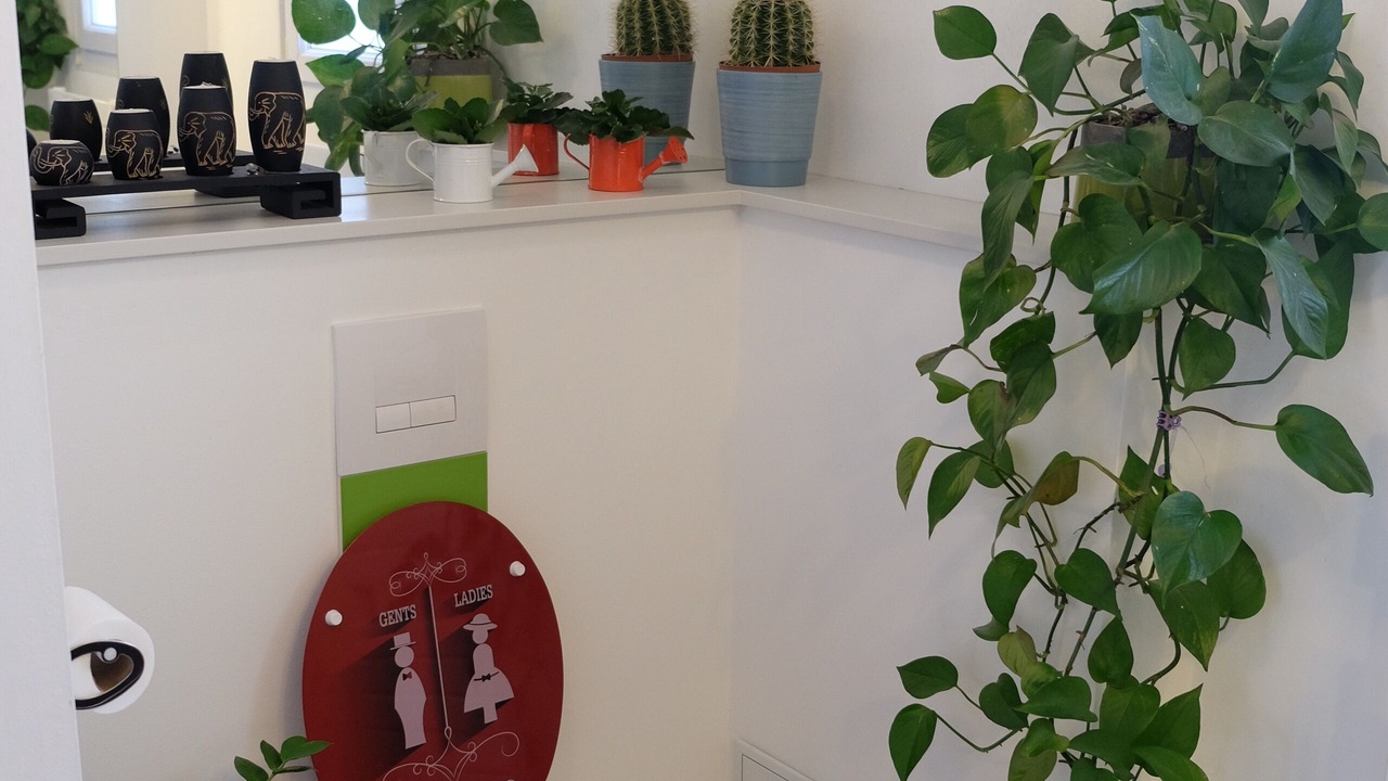 Photo of Bathroom in Pornic