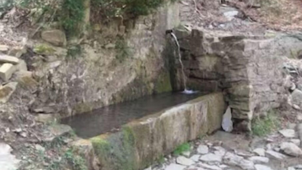 Photo of Outdoor in Vidra