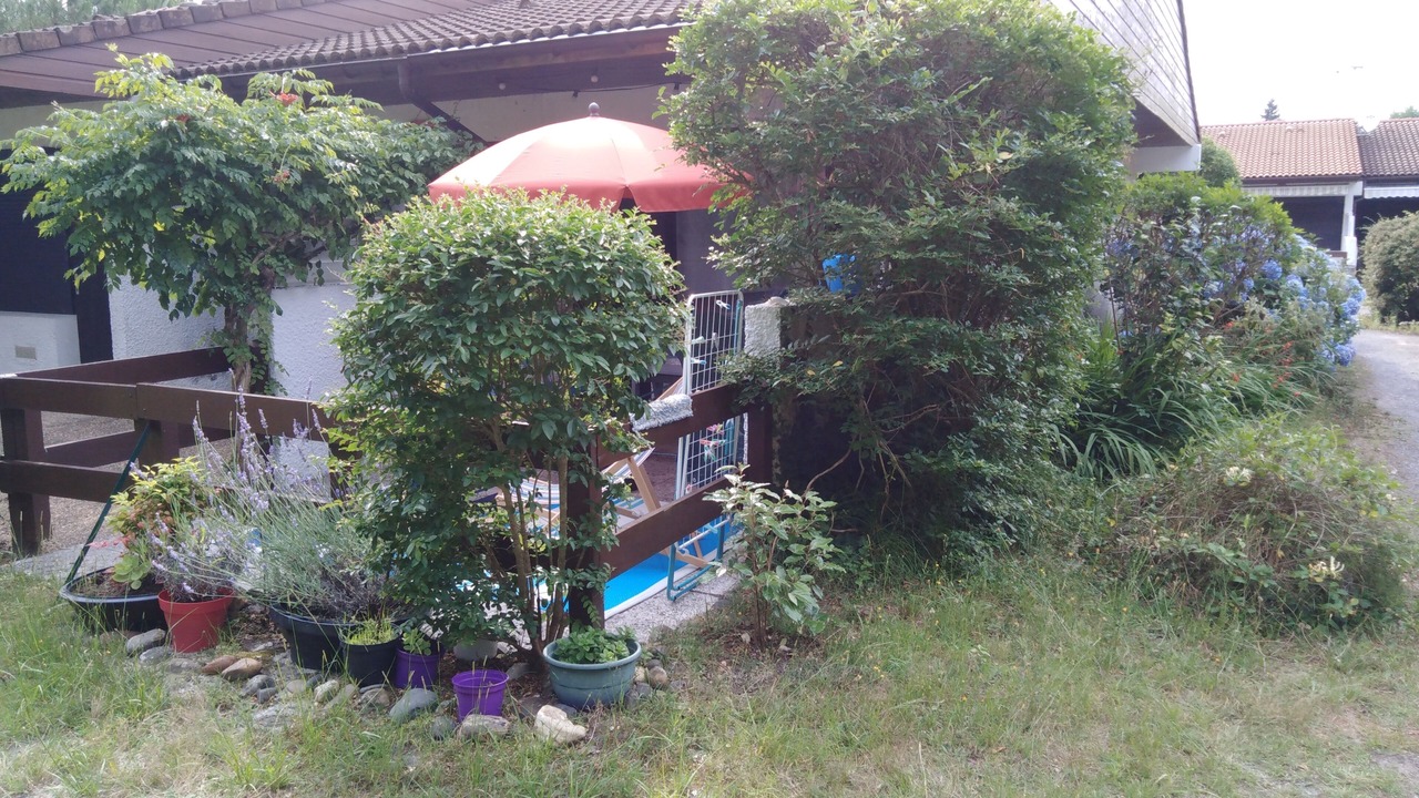 Photo of Outdoor in Lit-et-Mixe