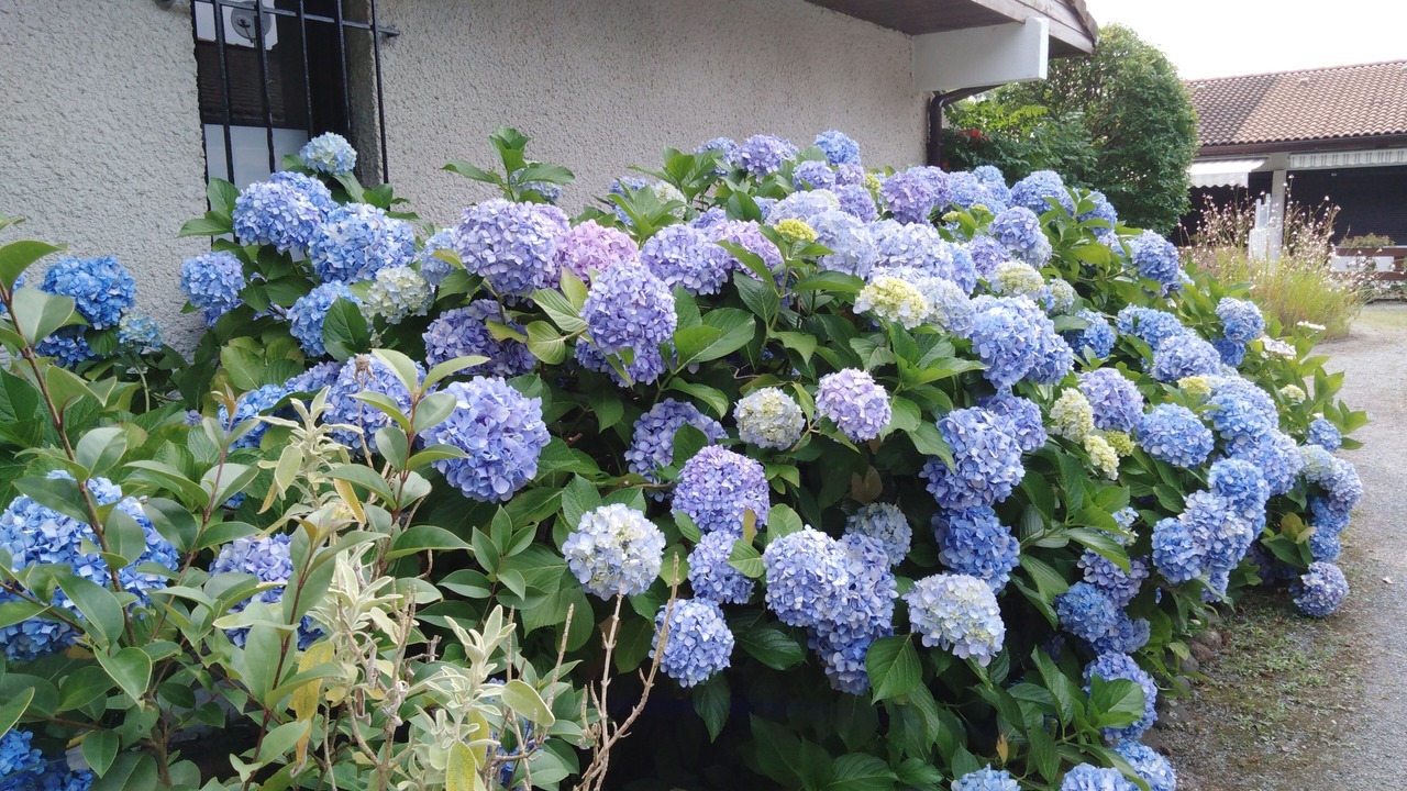 Photo of Outdoor in Lit-et-Mixe