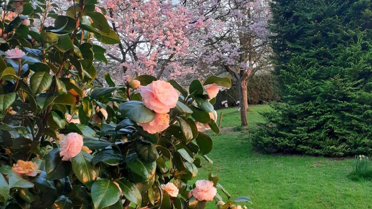Photo of Outdoor in Bretteville-du-Grand Caux