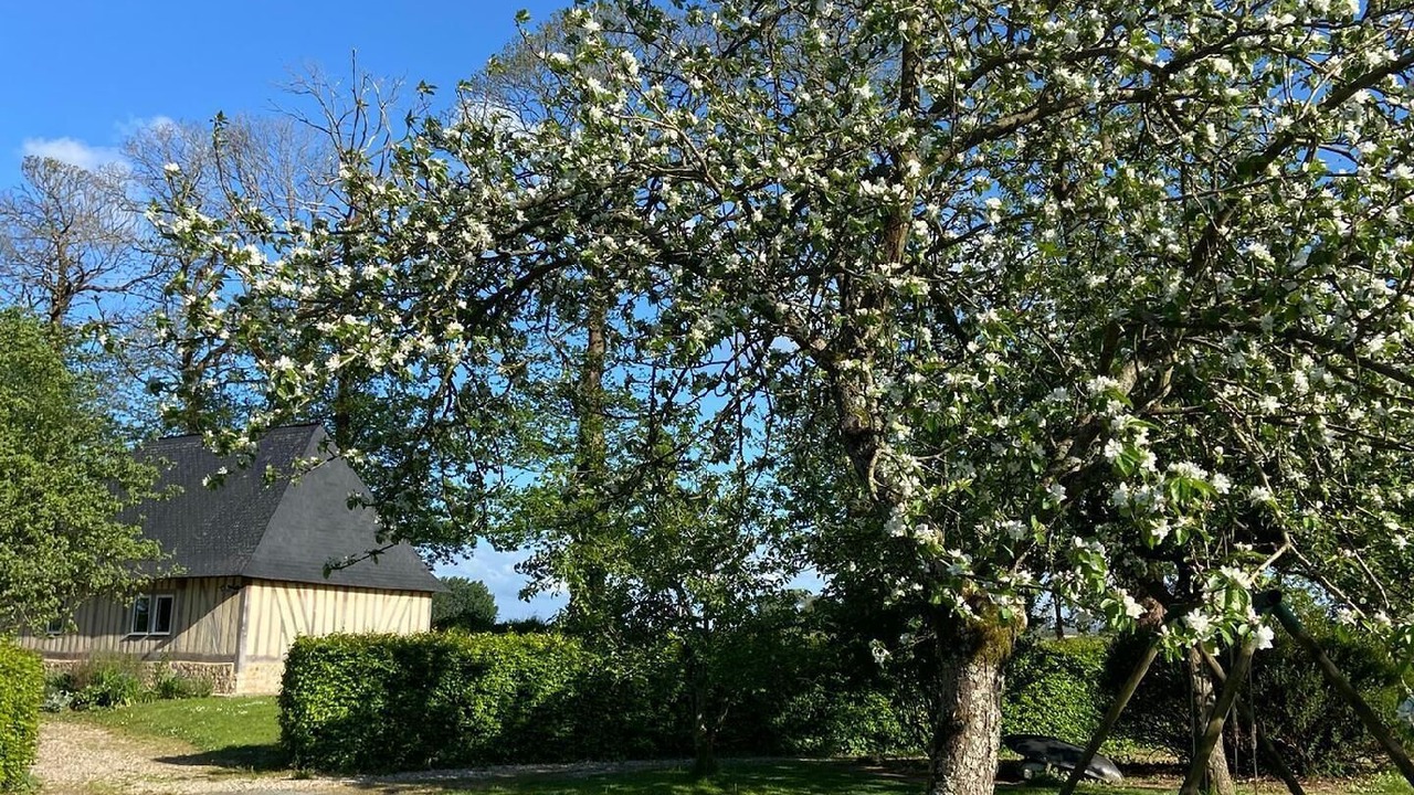 Photo of Others in Bretteville-du-Grand Caux