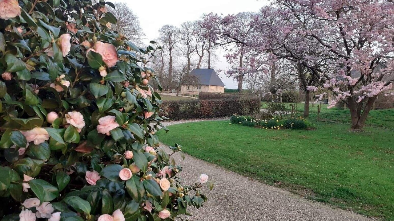 Photo of Outdoor in Bretteville-du-Grand Caux