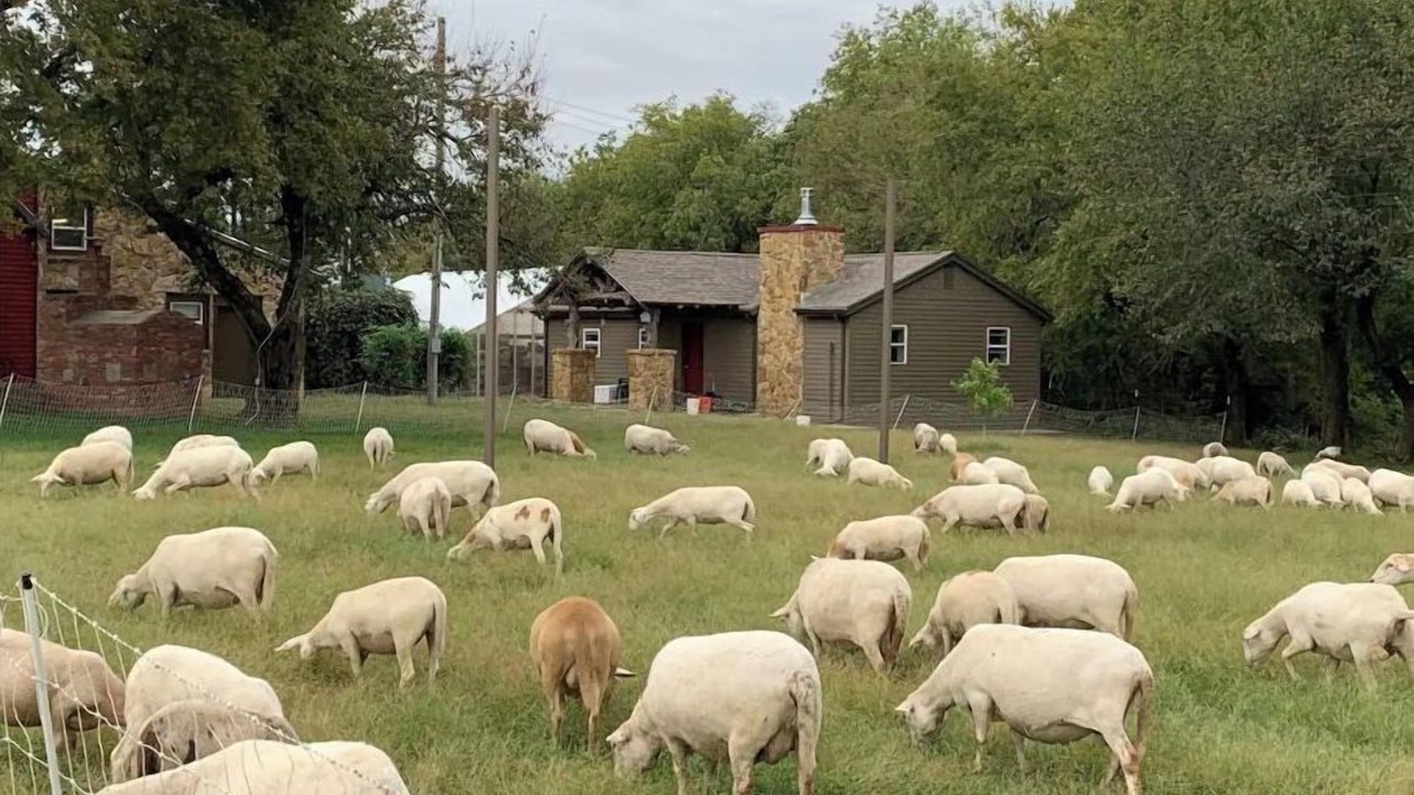 Photo of Outdoor in Neal