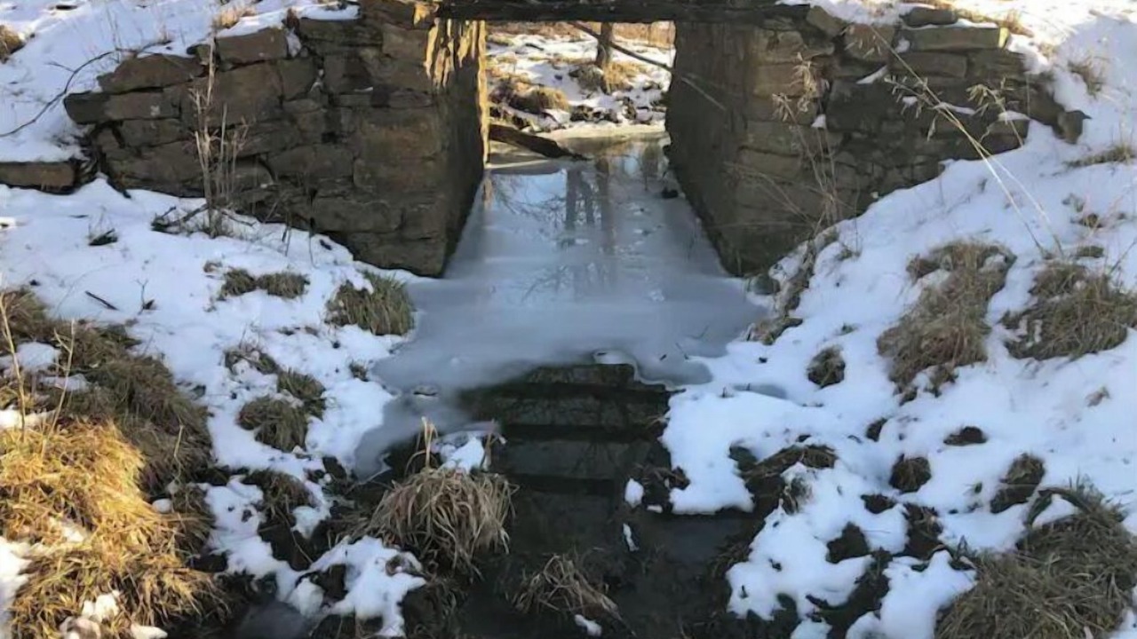 Photo of Outdoor in Neal