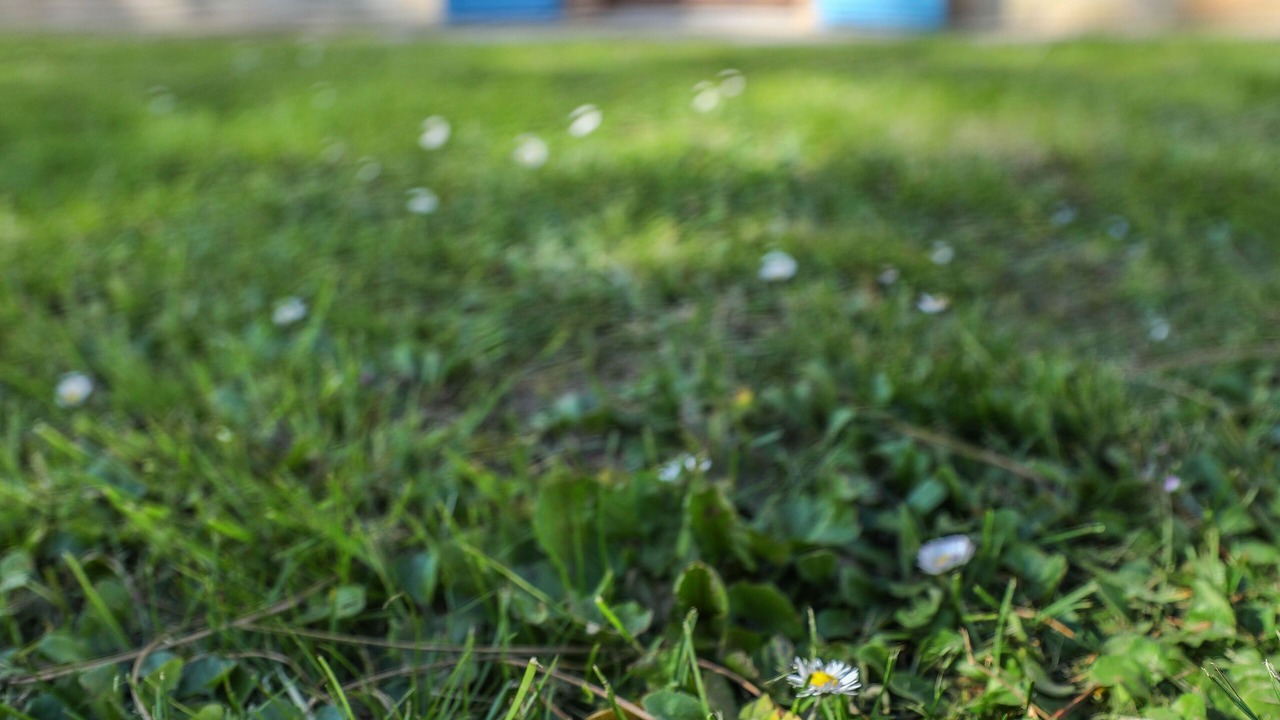 Photo of Outdoor in Montans