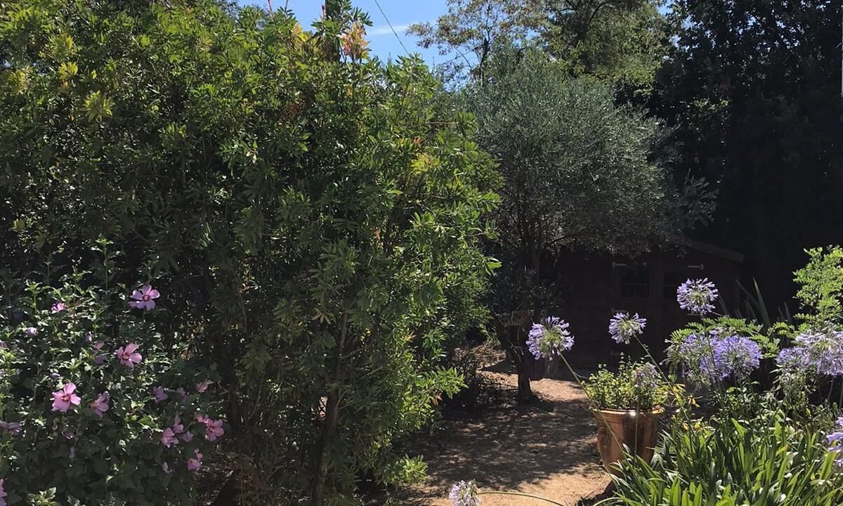 Photo of Outdoor in Corneilhan