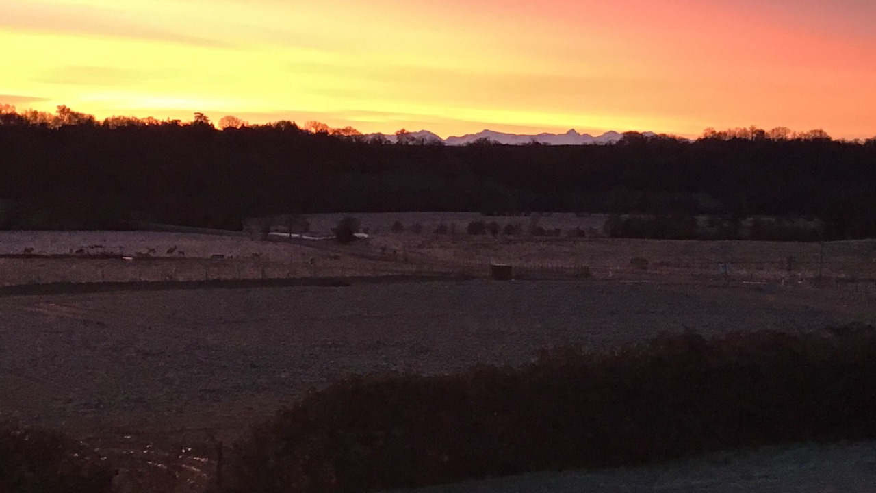 Photo of Others in Cabas-Loumasses