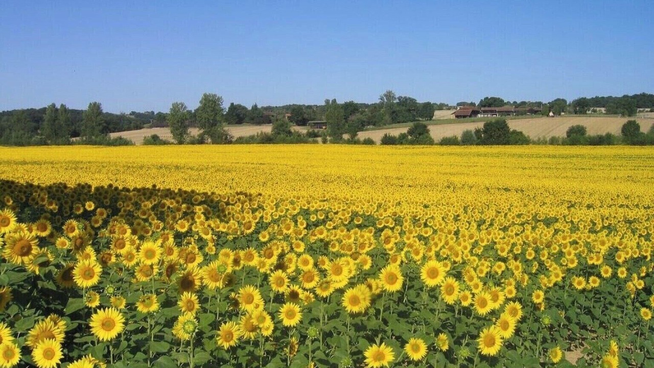 Photo of Outdoor in Cabas-Loumasses