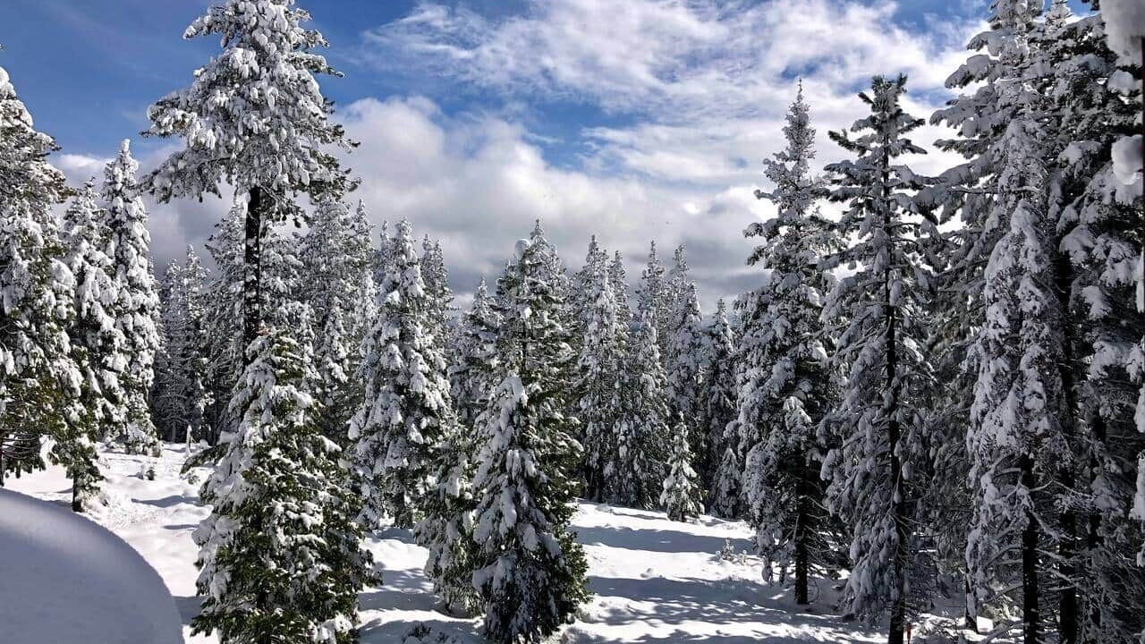 Photo of Others in Tahoe City