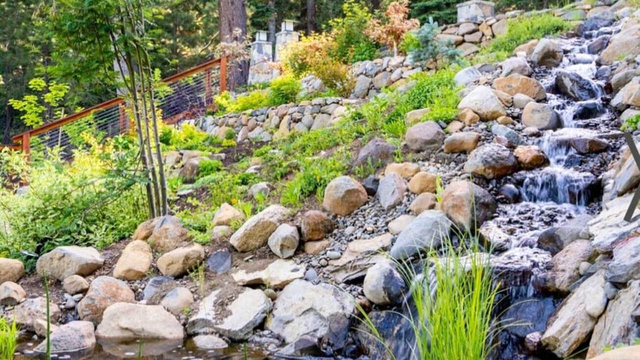 Photo of Others in Tahoe City