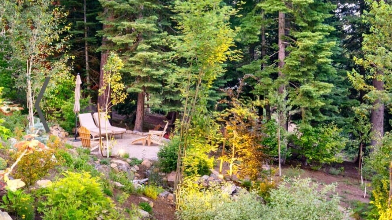 Photo of Others in Tahoe City